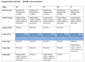 Online Sample Schedule 